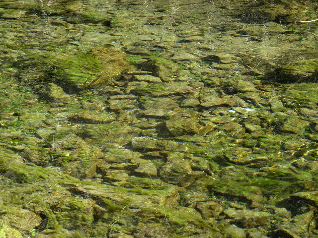 River bed through the clear water of the River Lathkill