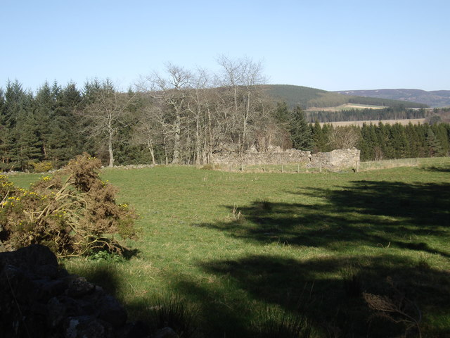 Remains of the ruined Braeside croft