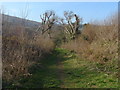 Footpath to the moors