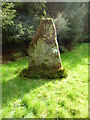 NS0232 : Standing stone at Dunan Mor by Brian Robertson