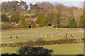 Fields and Horse Jumps north of Tenacre Farm