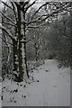 Footpath to Widford