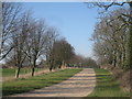 Avenue to Belle Vue House Farm