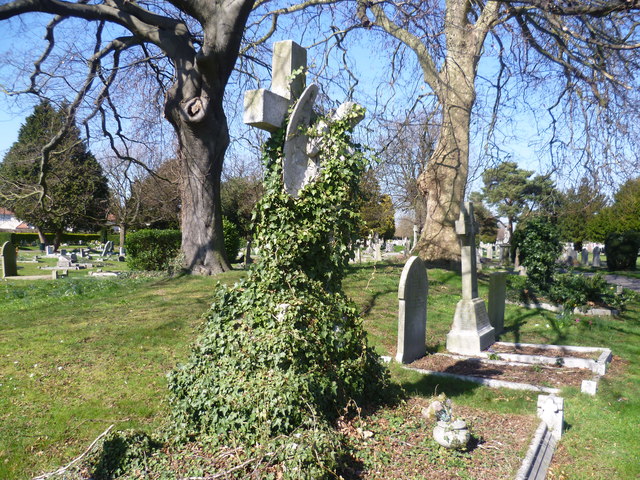 Angel amongst the ivy, Twickenham Cemetery