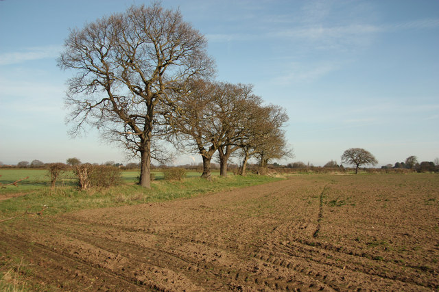 Spalford farmland