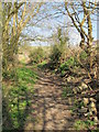 Footpath south of Castle Hill (2)