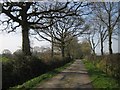 Lane to Blackpark Wood