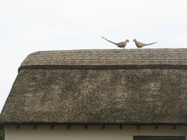 Thatched roof, Ruthin