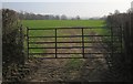 Gate and pasture near Clarke