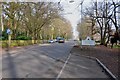 Entering Ampthill from the Woburn direction