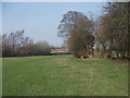 Footpath towards the accommodation bridge