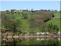 Damflask Reservoir - March 2012 (6)