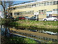 Wandle reflections, Hackbridge