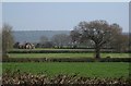 ST0705 : Fields near Dulford by Derek Harper