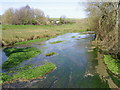 SU0425 : River Ebble, Broad Chalke - (4) by Maigheach-gheal