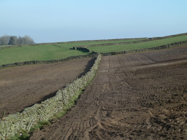 Cultivated upland fields
