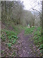 Path through the scrub above Stanley and Shoots Hill Woods