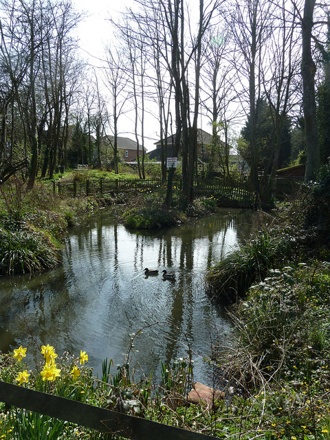 Little Green Pond