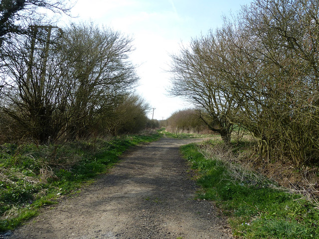 Track to Cradle Spinney