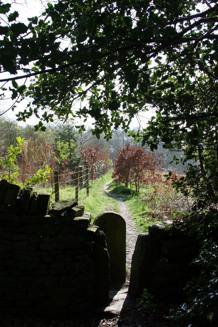 Wall stile in the Holme Valley