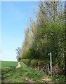 Footpath to Aley Green