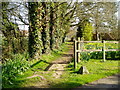 Footpath 193 adjacent to Footpath Nursery