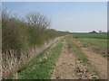 Farm track alongside a beck