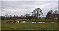 Horses grazing before Little Woolden Hall