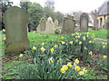 SP9019 : Spring in the Churchyard of St Mary the Virgin, Mentmore by Chris Reynolds