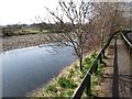 Footpath by The River South Tyne