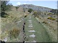 Trackbed of former Liskeard and Caradon Railway