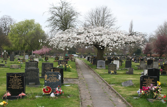Cherry blossom at Coppenhall Cemetery