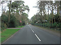 Horton Road approaches A31 junction