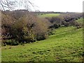 Valleyside Pasture