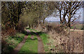 Bridleway past Stanmore Country Park, Shropshire