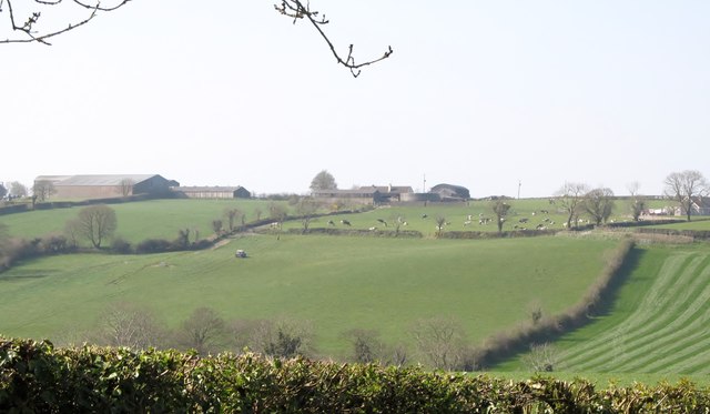 Grassland on the west side of Cavehill Lane