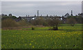 The Warburton toll bridge over the ship canal