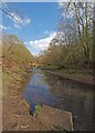 SE3904 : The River Dove, Wombwell by Steve  Fareham