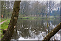 The pond at Sidings Lane Nature Reserve