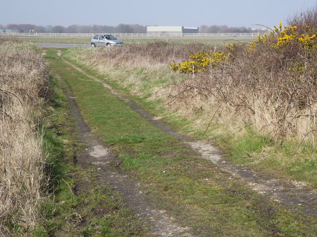 Old Track, Thorney Island