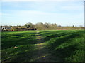 Farmland near Boughton