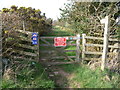 Path up towards Cefn Llechid