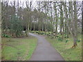 Path in the park, Aykley Heads