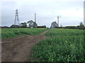 Track through oilseed rape crop