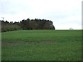 Farmland near Hag Wood