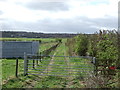 Farm track (footpath) off Bushblades Lane