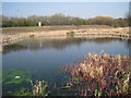 Carr Lane Pond