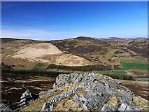 NT9521 : View north-east from the summit of Housey Crags by Andrew Curtis
