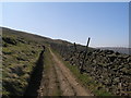 SD8384 : Pennine Way below Dodd Fell by John Slater