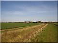 View towards Brook Farm